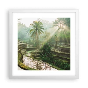 Poster in een witte lijst - Opgroeien in de zon - 40x40 cm