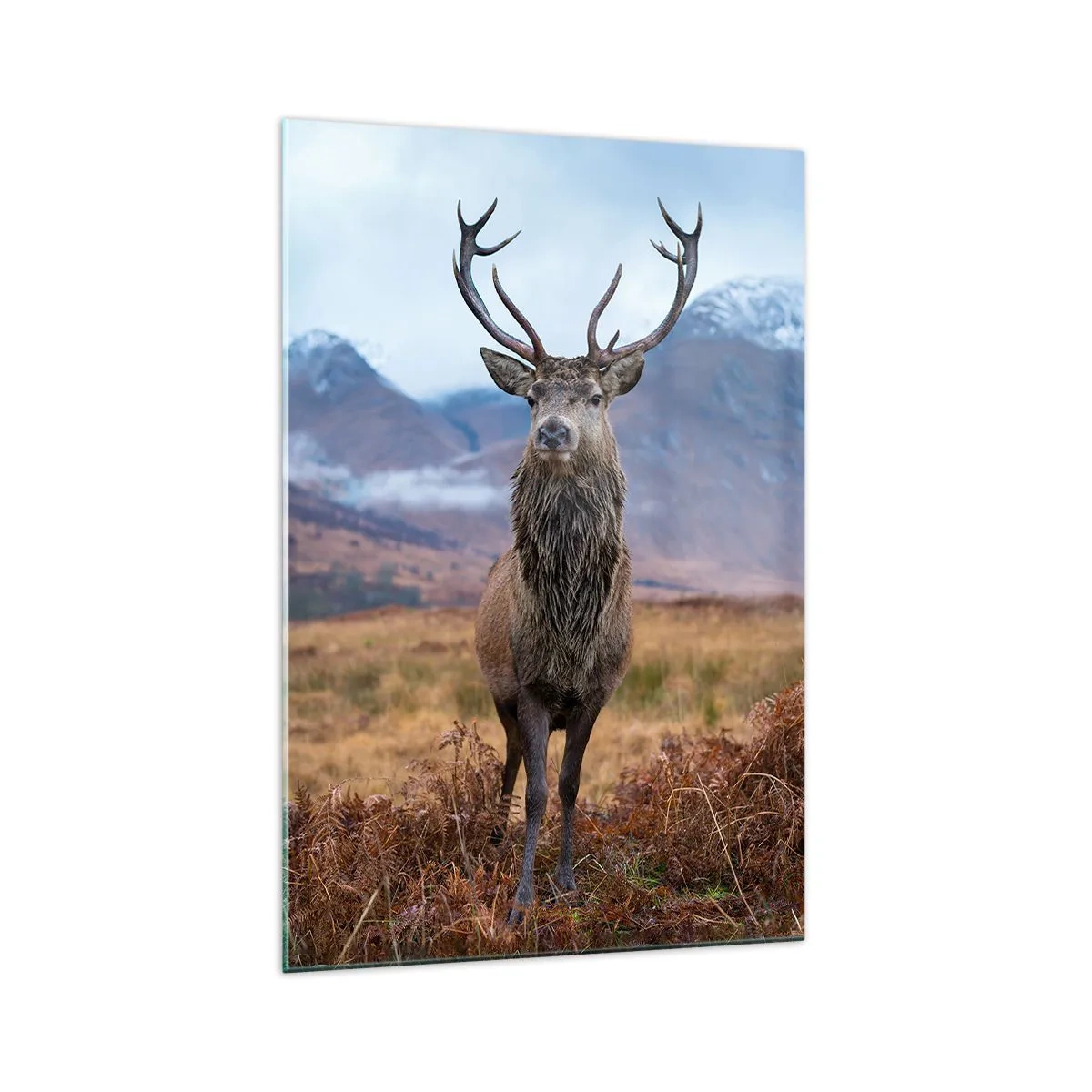 Schilderen op glas - Op eigen grond - 70x100 cm