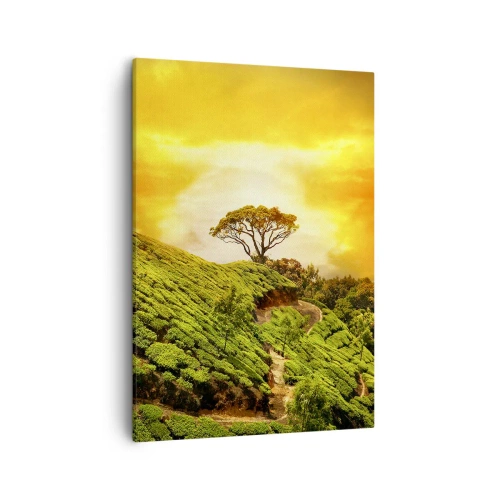 Schilderen op canvas - Een kronkelend pad, een groene helling - 50x70 cm