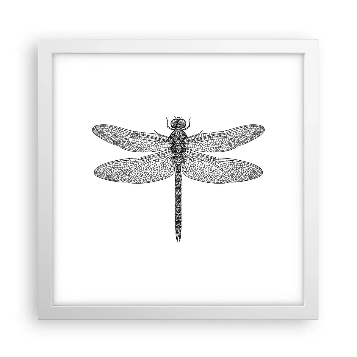 Poster in een witte lijst - Precisie van de natuur - 30x30 cm