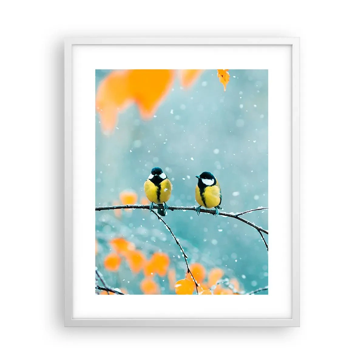 Poster in een witte lijst - Vogelroddel - 40x50 cm