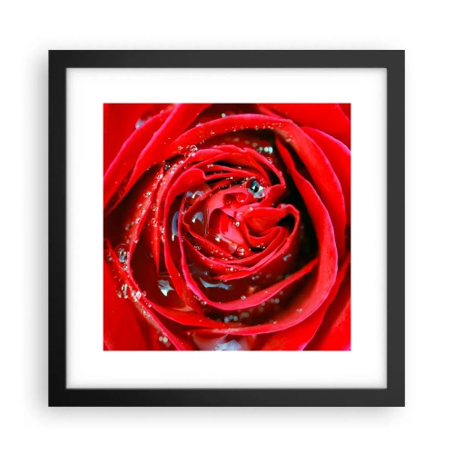 Poster in een zwarte lijst - In de dauwdruppels - 30x30 cm