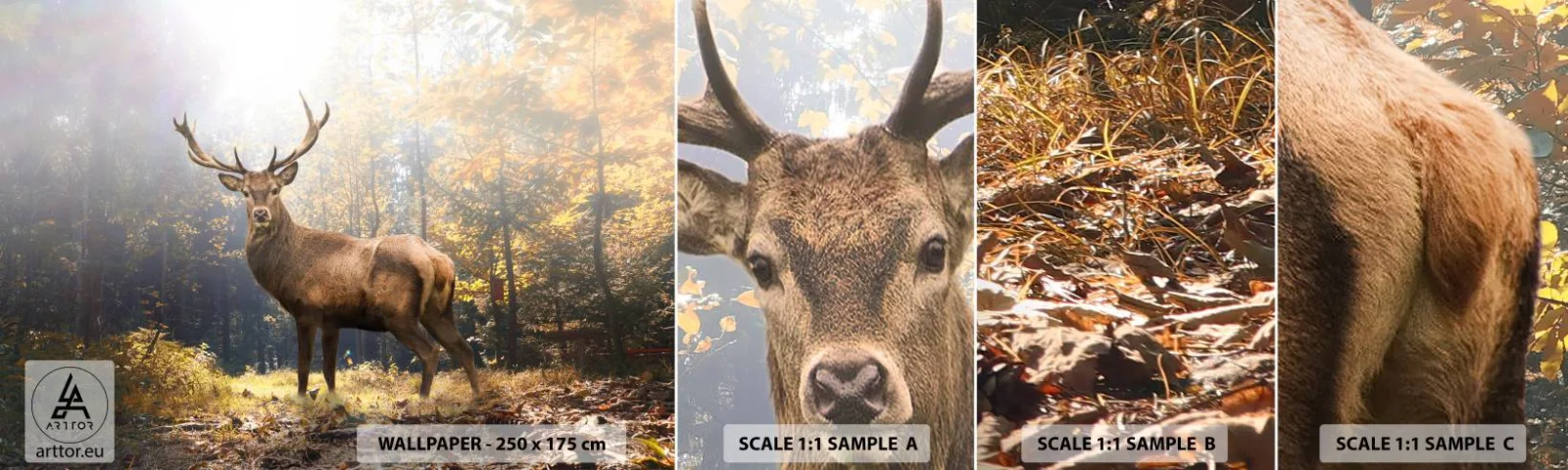 Fotobehang Monster Zelfklevend Deluxe Sticker - In volle majesteit - Landschap, Hert, Woud - 100x30 cm