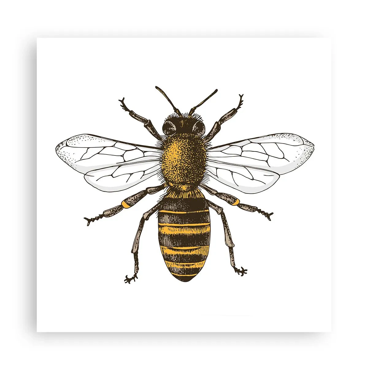 Poster - Mooi en goed - 60x60 cm