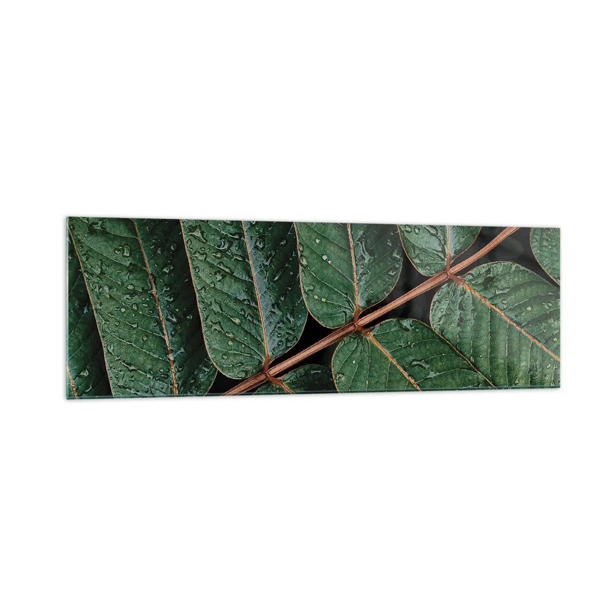 Schilderen op glas - In een groen ritme - 160x50 cm