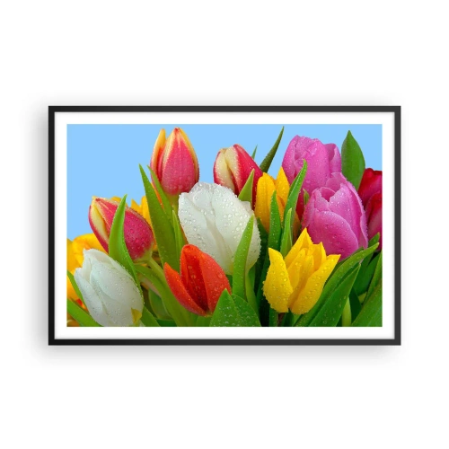 Poster in een zwarte lijst - Een bloemenregenboog in dauwdruppels - 91x61 cm