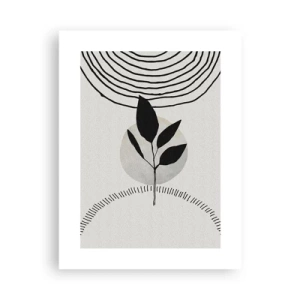 Poster - Compositie: natuurrituelen - 30x40 cm