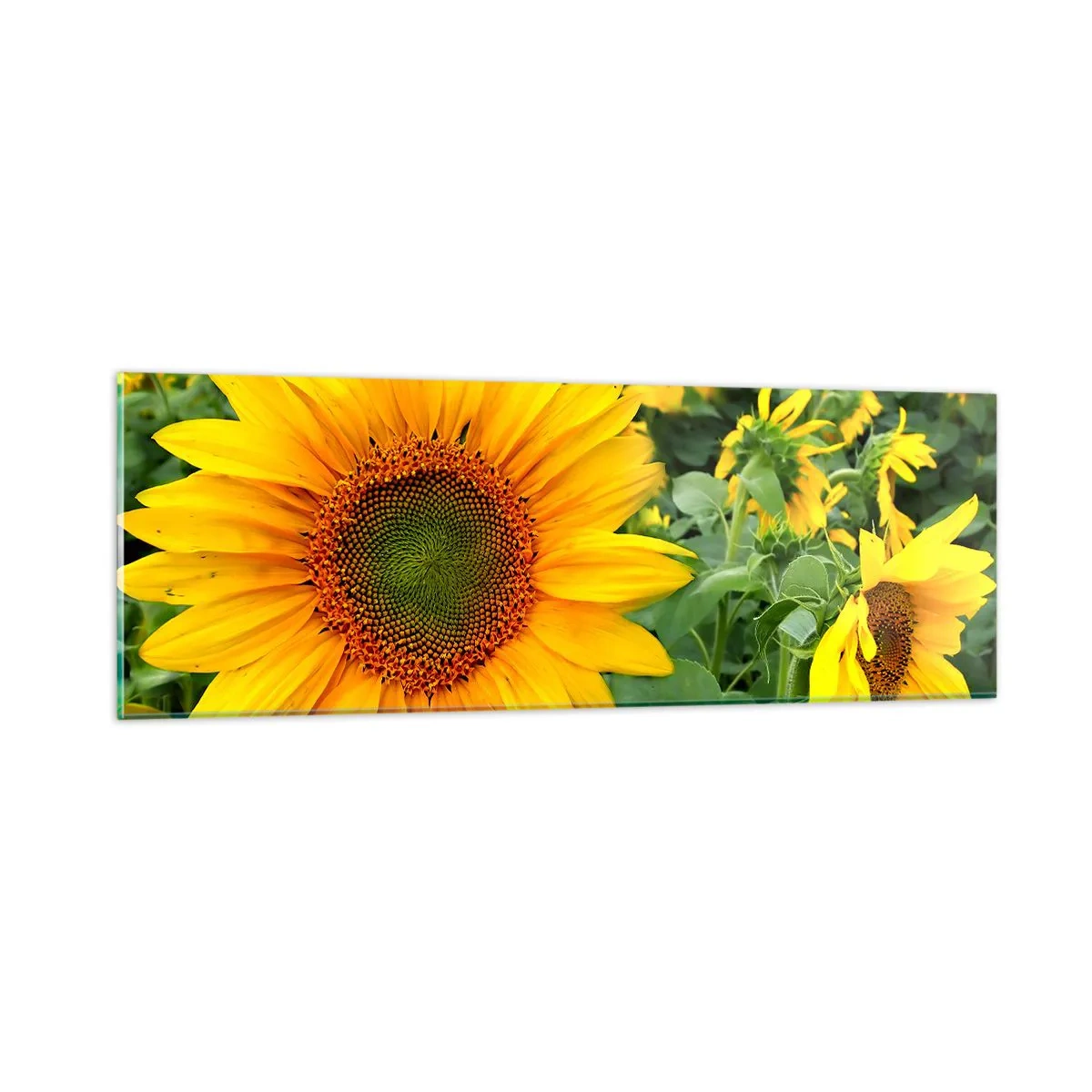 Schilderen op glas - Honderden zonnen vlamden op - 90x30 cm