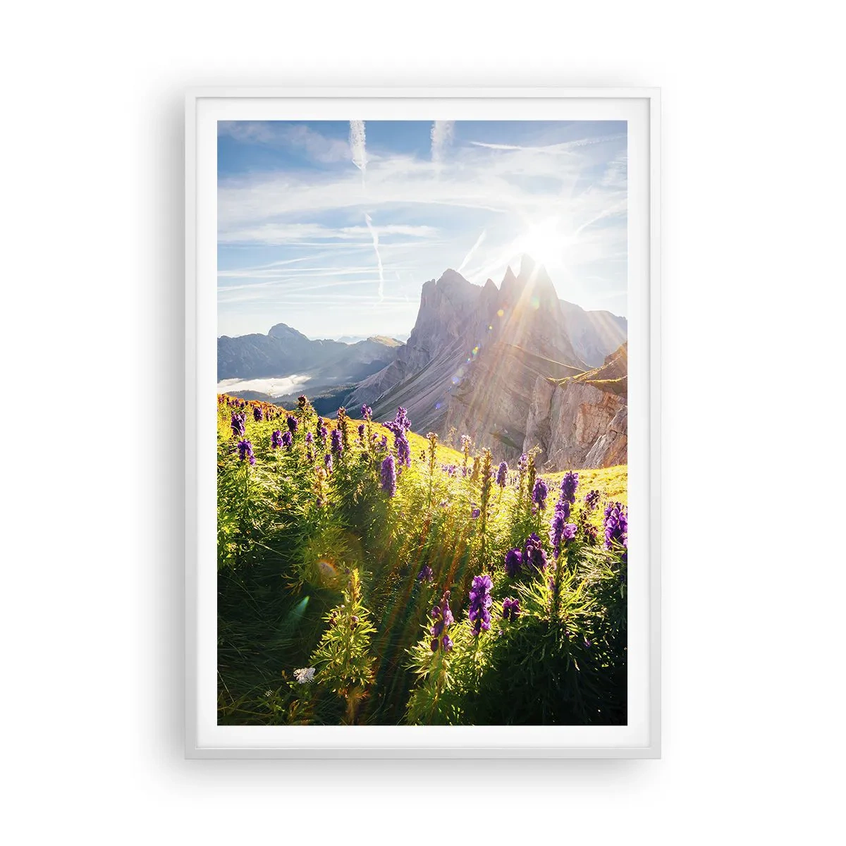 Poster in een witte lijst - Het geheime leven van kruiden - 70x100 cm