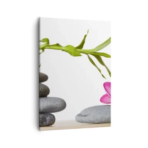 Schilderen op canvas - Kleuren van leven en duur - 50x70 cm