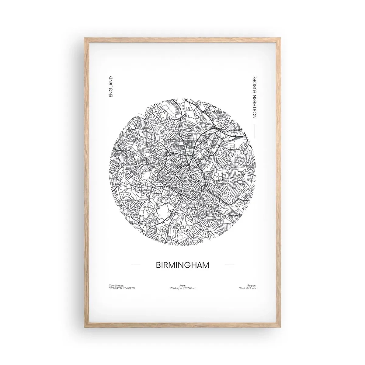 Een poster in een licht eiken lijst - Anatomie van Birmingham - 61x91 cm