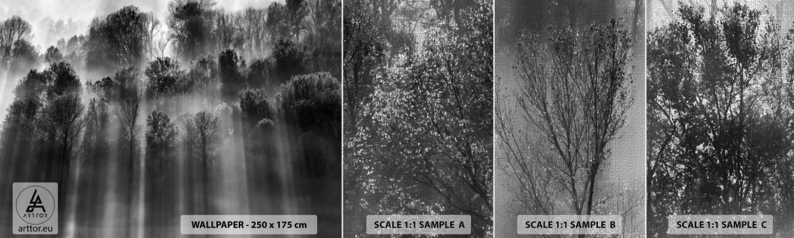 Fotobehang Monster Premium Canvas - In stromen van licht - Landschap, Woud, Zwart en wit - 100x30 cm