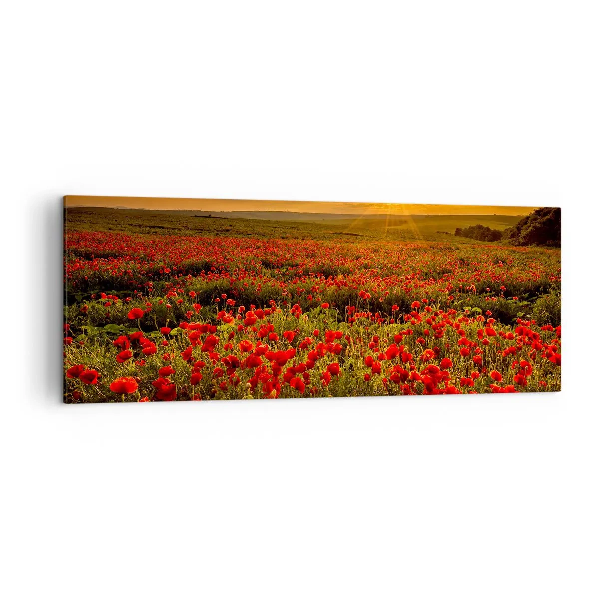 Schilderen op canvas - Tussen de golven van ruisende weiden, tussen de bloemen van de vloed - 140x50 cm