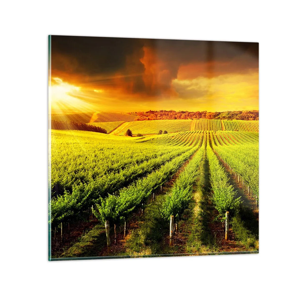 Schilderen op glas - Onder de Australische zon - 70x70 cm