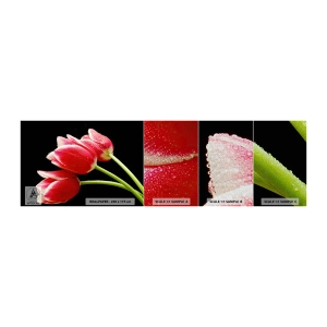 Fotobehang Monster Premium Sand - Een belofte van pure liefde - Bloemen, Tulpen, Natuur - 100x30 cm