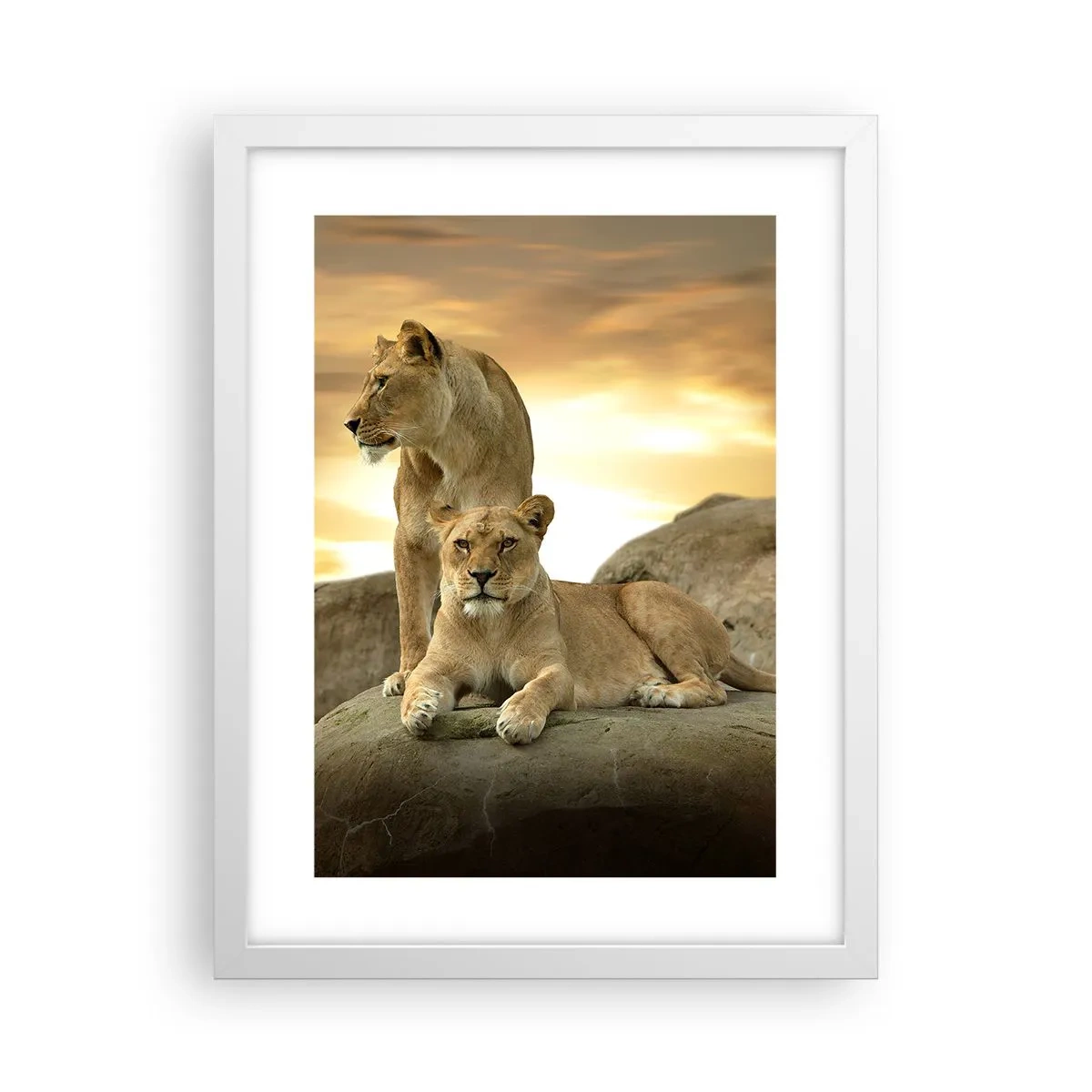 Poster in een witte lijst - Koninklijke majesteit - 30x40 cm