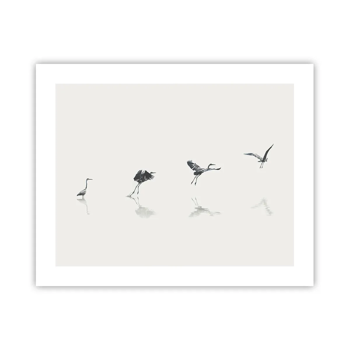 Poster - Vier eenvoudige stappen - 50x40 cm