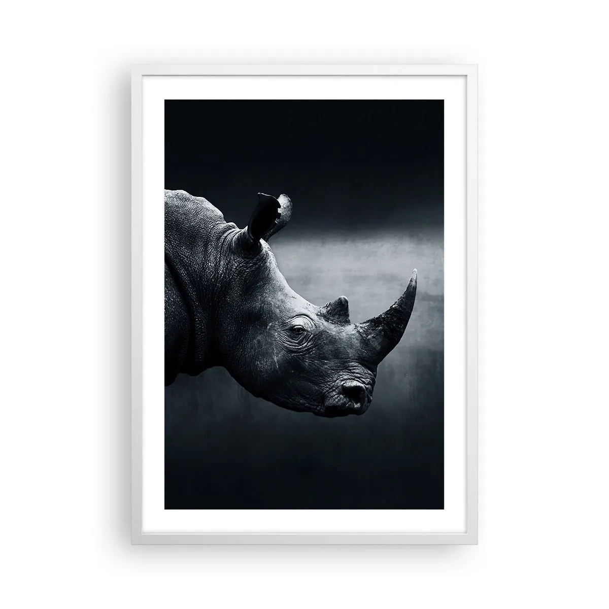 Poster in een witte lijst - Rechts profiel - 50x70 cm