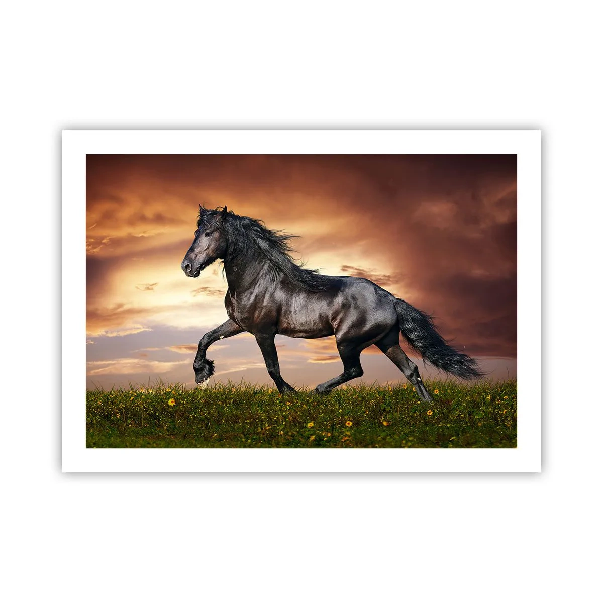 Poster - Zwarte Prins - 70x50 cm