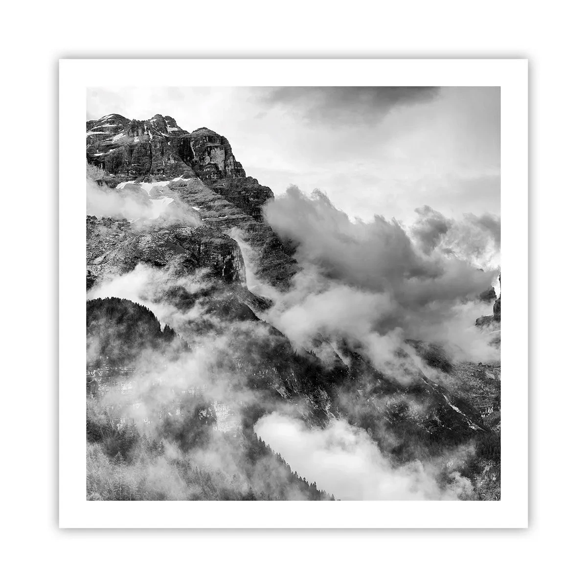 Poster - Mooi en wreed - 60x60 cm