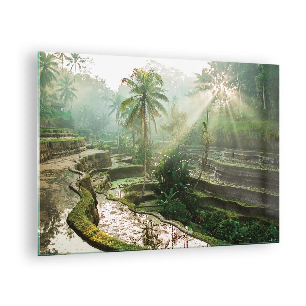 Schilderen op glas - Tropische rijstvelden met palmbomen in de ochtendmist - 70x50cm - Opgroeien in de zon - Moderne wanddecoratie voor woonkamer en slaapkamer ARTTOR