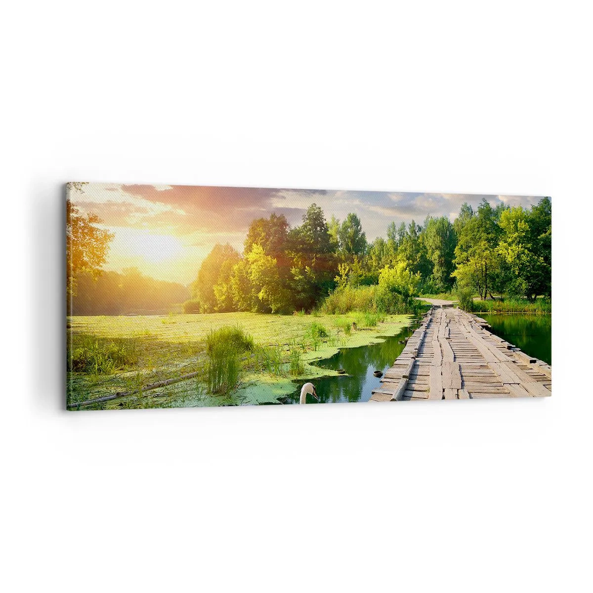 Schilderen op canvas - Zomer, zomer overal - 100x40 cm