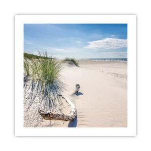Poster - De mooiste zandstrand? Oostzee-strand - 50x50 cm