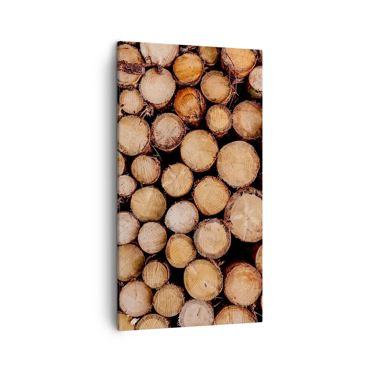 Schilderen op canvas - Een nieuw begin - 45x80 cm