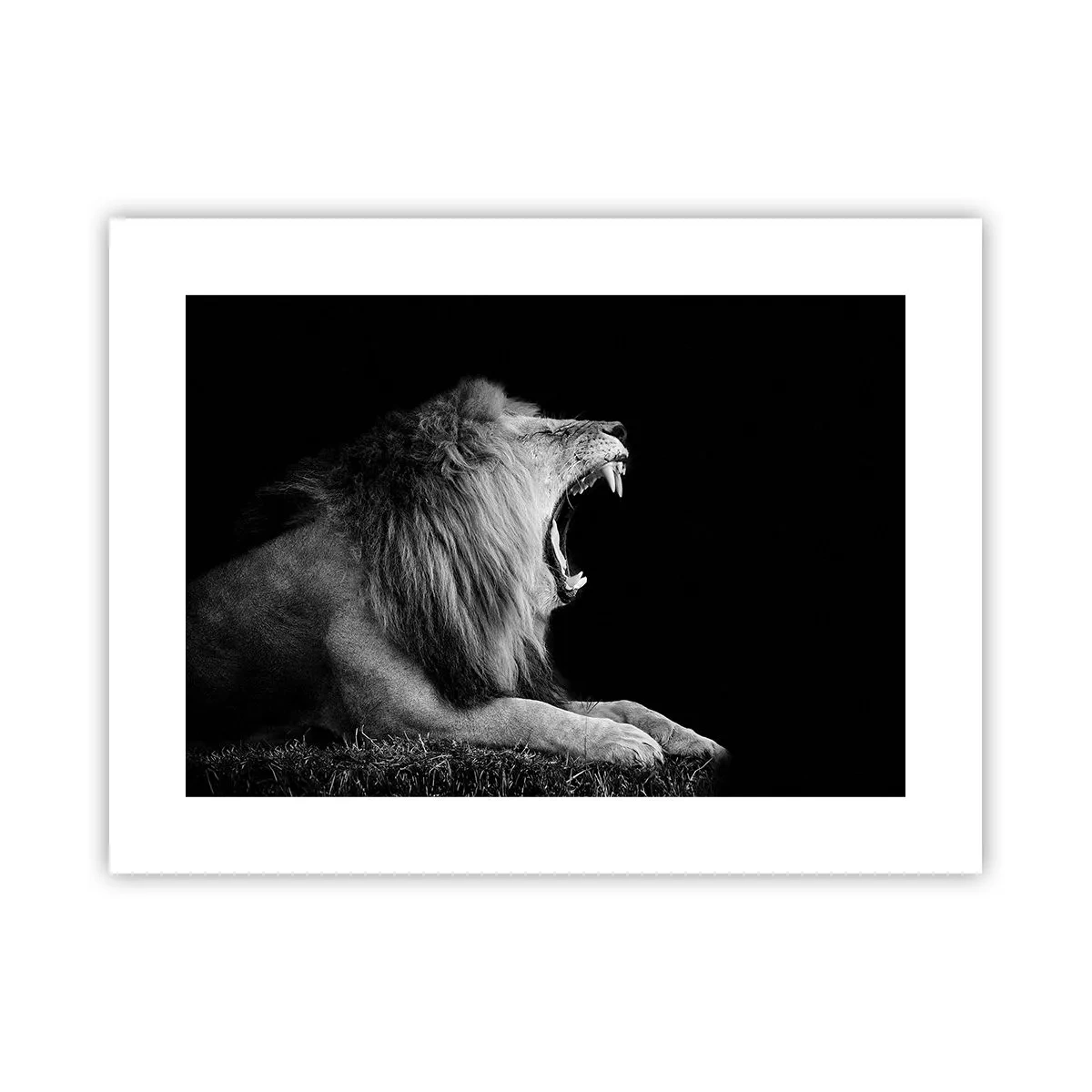 Poster - Zonder enige twijfel - 40x30 cm