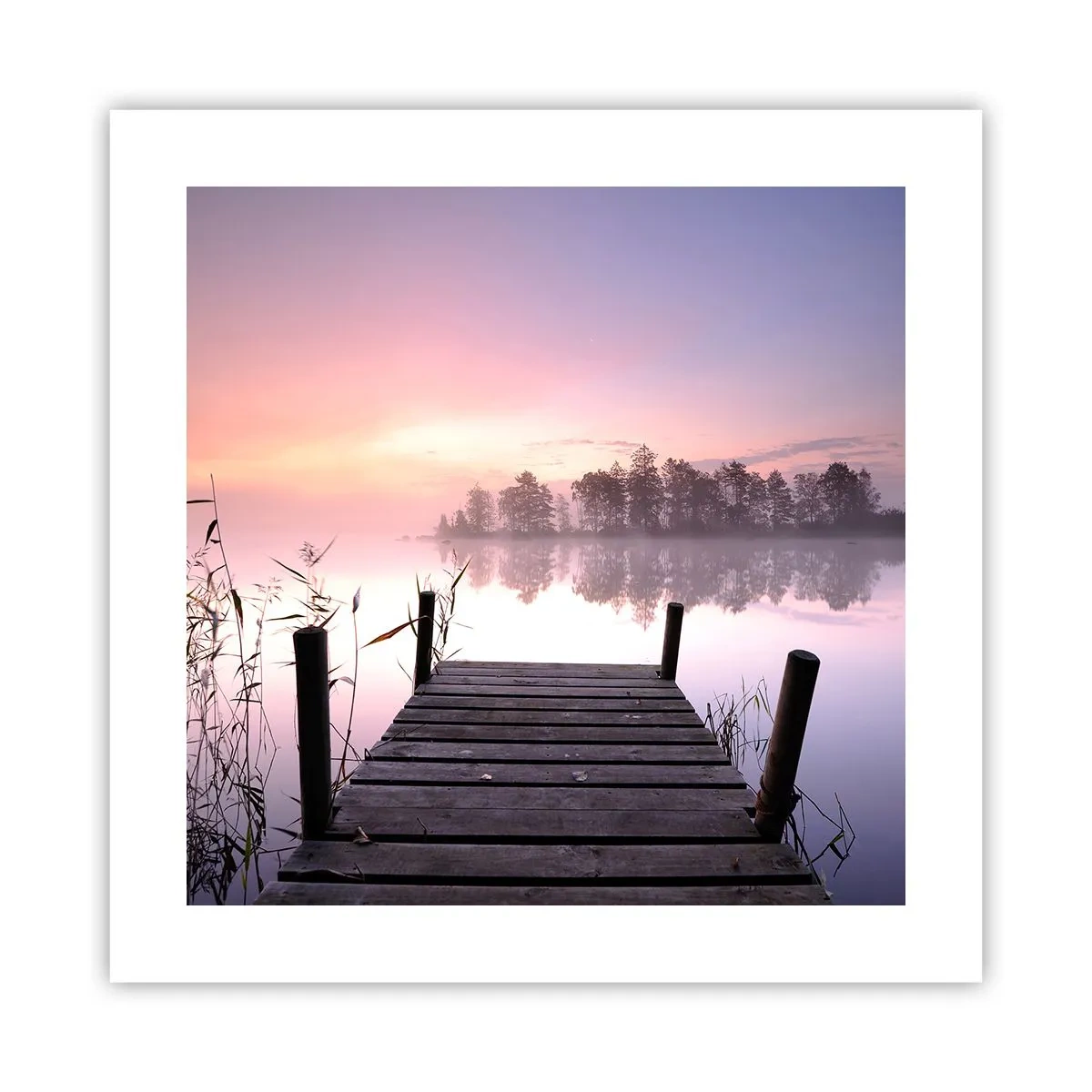 Poster - Van de lila mist... - 40x40 cm