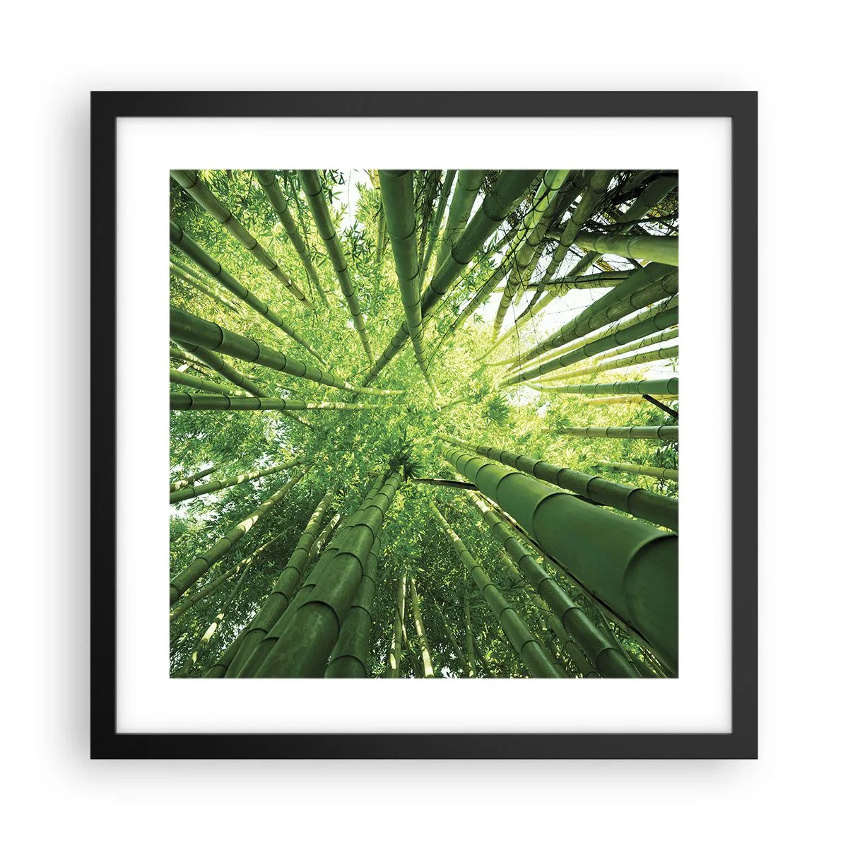 Poster in een zwarte lijst - In een bamboebos - 40x40 cm