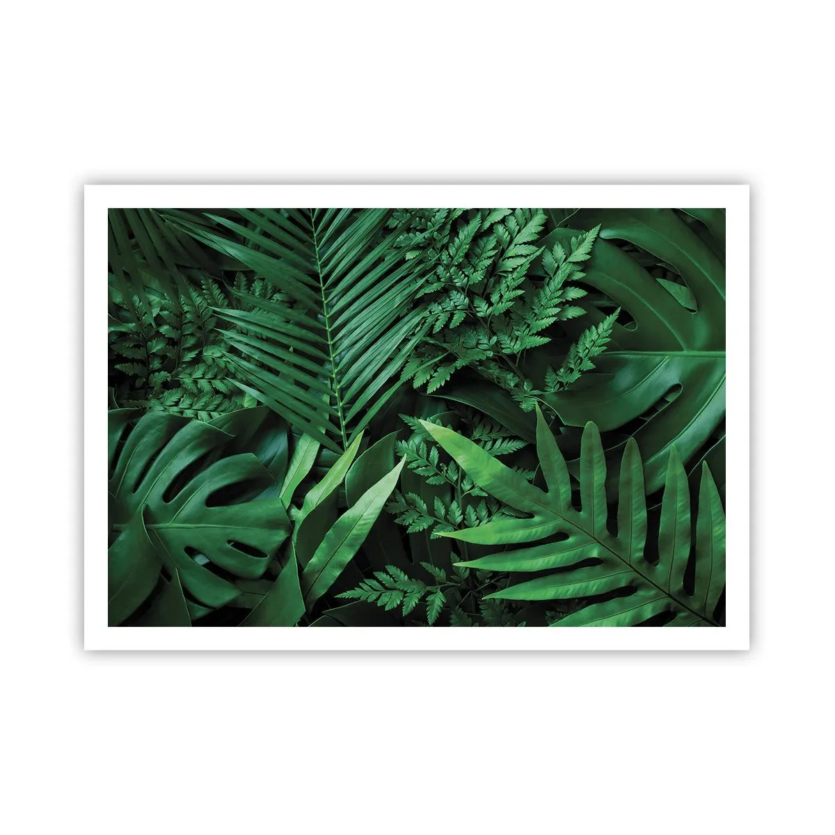 Poster - Ineengedoken in het groen - 100x70 cm