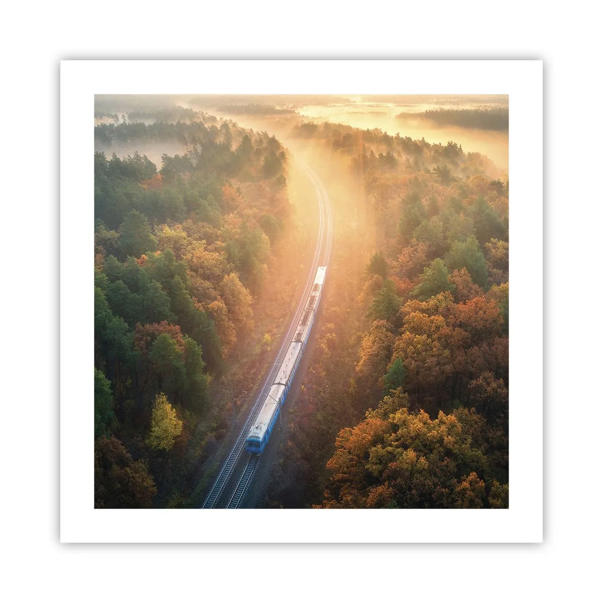 Poster - Herfst reis - 50x50 cm