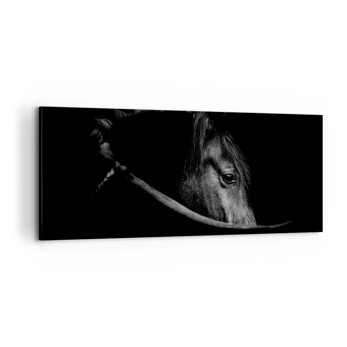 Schilderen op canvas - Zwarte Prins - 100x40 cm