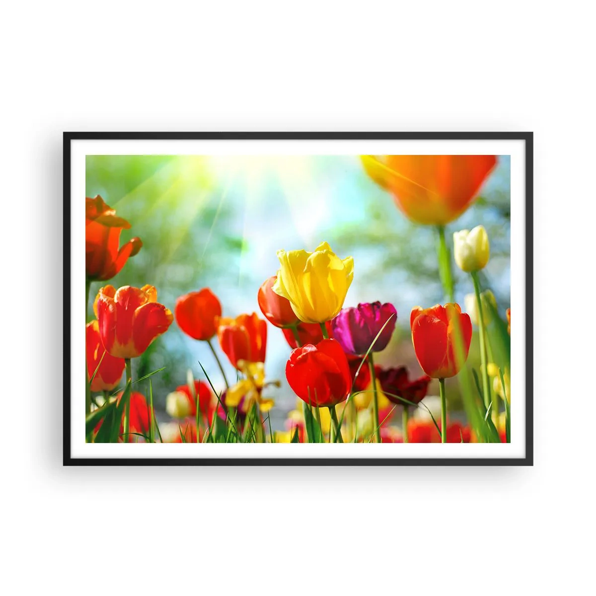 Poster in een zwarte lijst - Alle kleuren van de zon - 100x70 cm