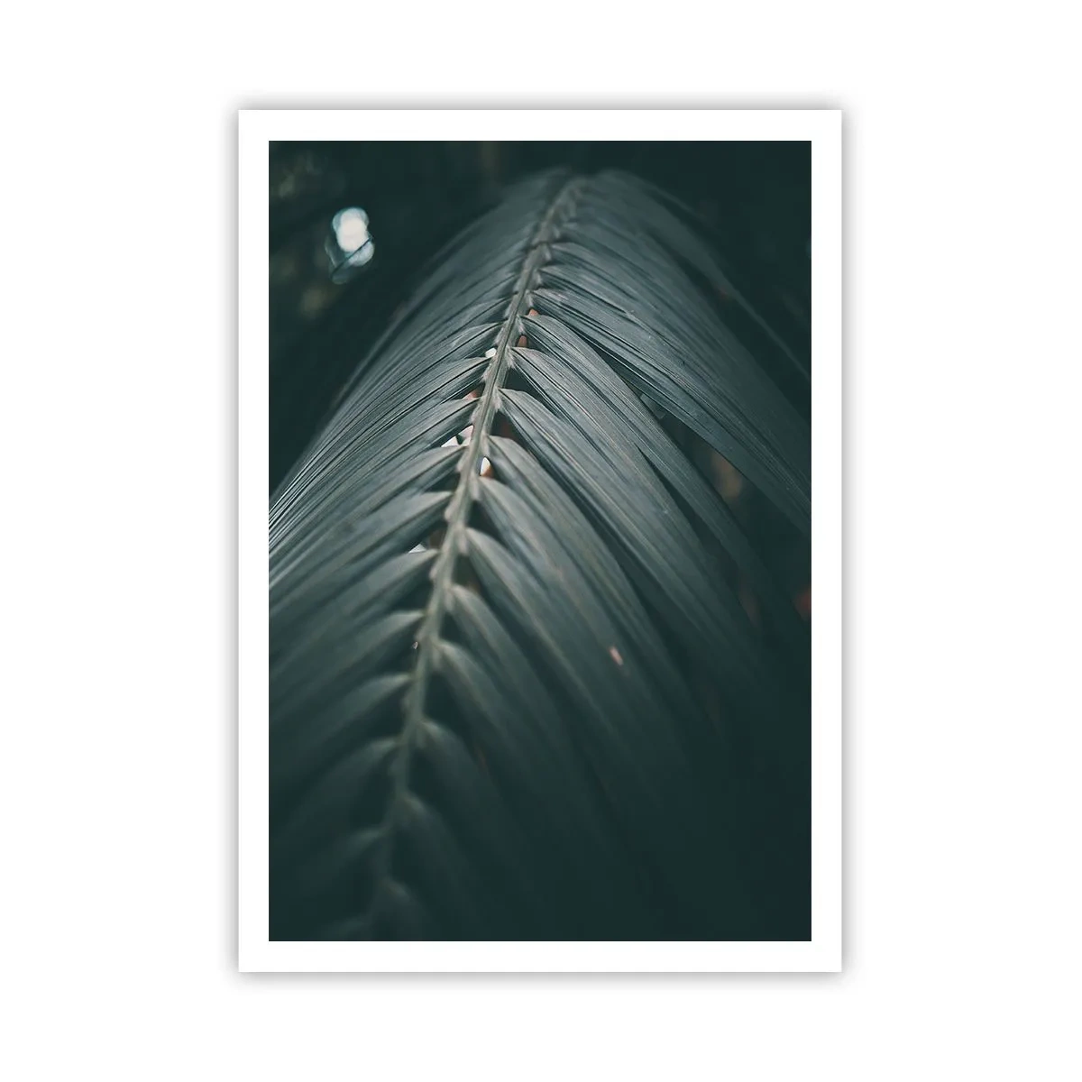 Poster - De precisie van de natuur - 70x100 cm