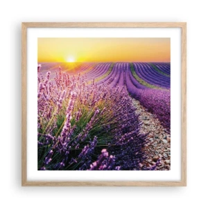 Een poster in een licht eiken lijst - Geurige korenvelden - 50x50 cm