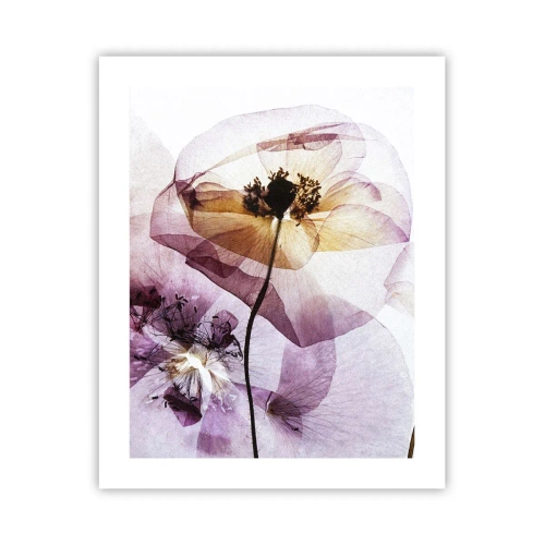 Poster - Transparante lichaamsbloemen - 40x50 cm
