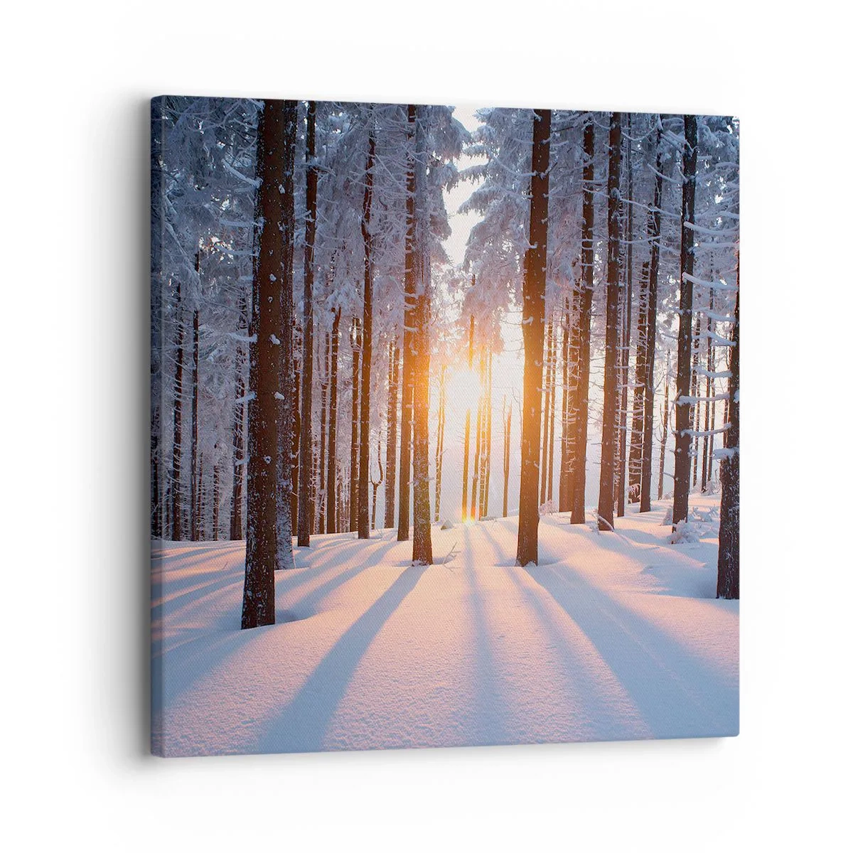 Schilderen op canvas - Duidelijk in zwart-wit - 30x30 cm
