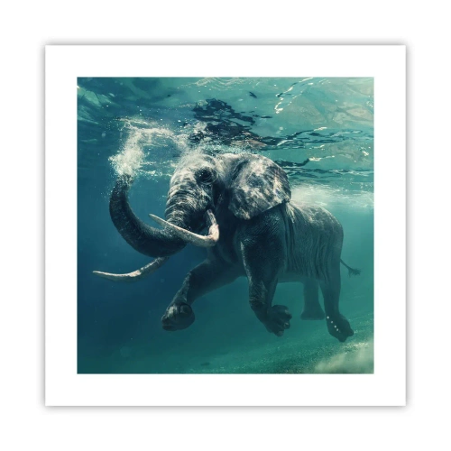 Poster - Iedereen houdt van zwemmen - 40x40 cm