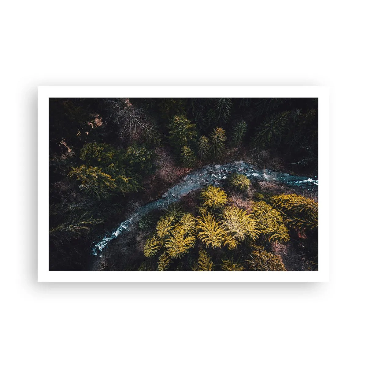 Poster - Snel, sneller en sneller - 91x61 cm