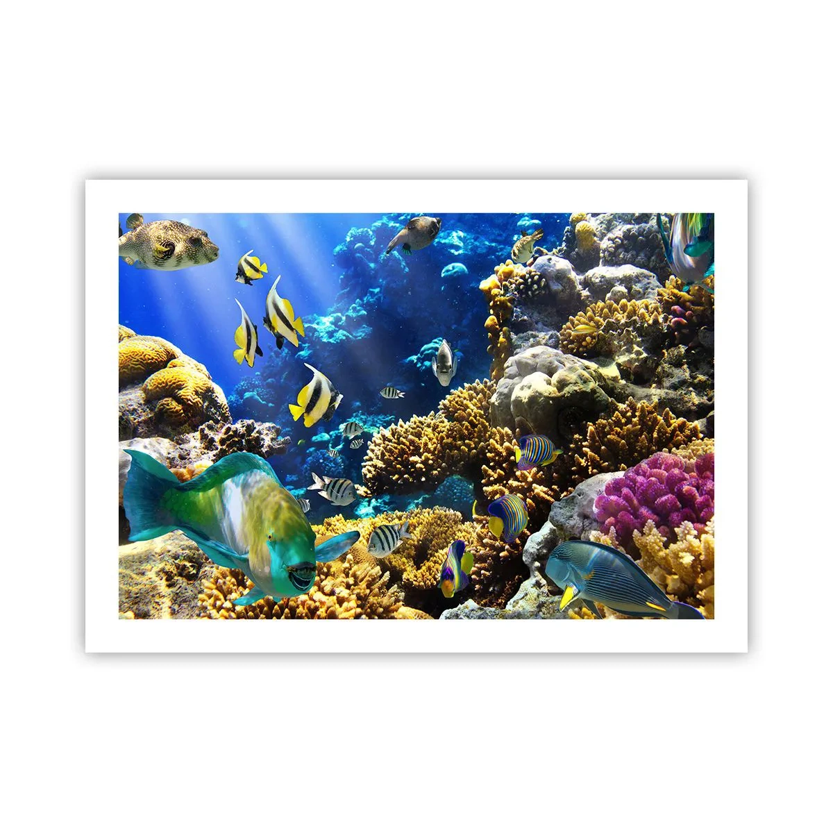 Poster - Veel verkeer op de vakantieroute - 70x50 cm