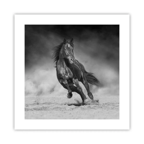 Poster - De emir zelf waardig - 40x40 cm