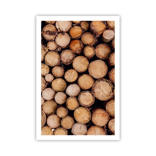 Poster - Een nieuw begin - 61x91 cm