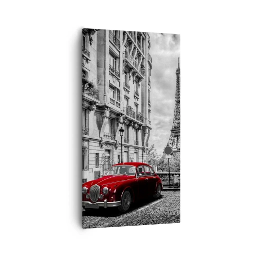 Schilderen op canvas - Roofdier in de stad - 55x100 cm