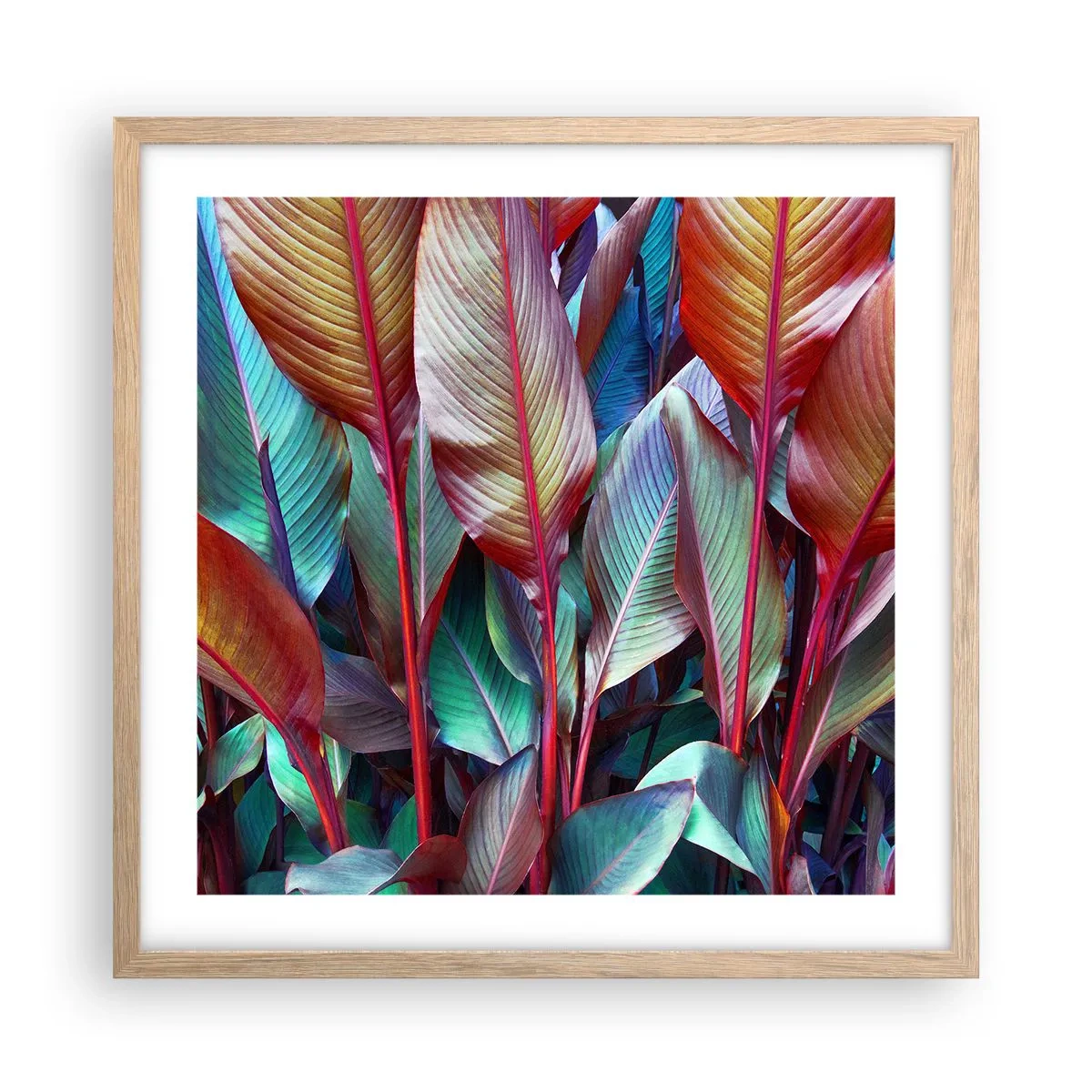 Een poster in een licht eiken lijst - Een kleurrijk struikgewas - 50x50 cm