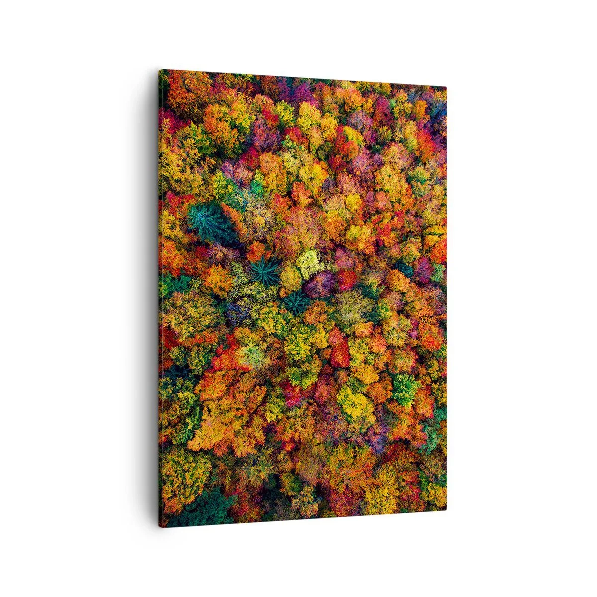 Schilderen op canvas - Boeket herfstbomen - 50x70 cm