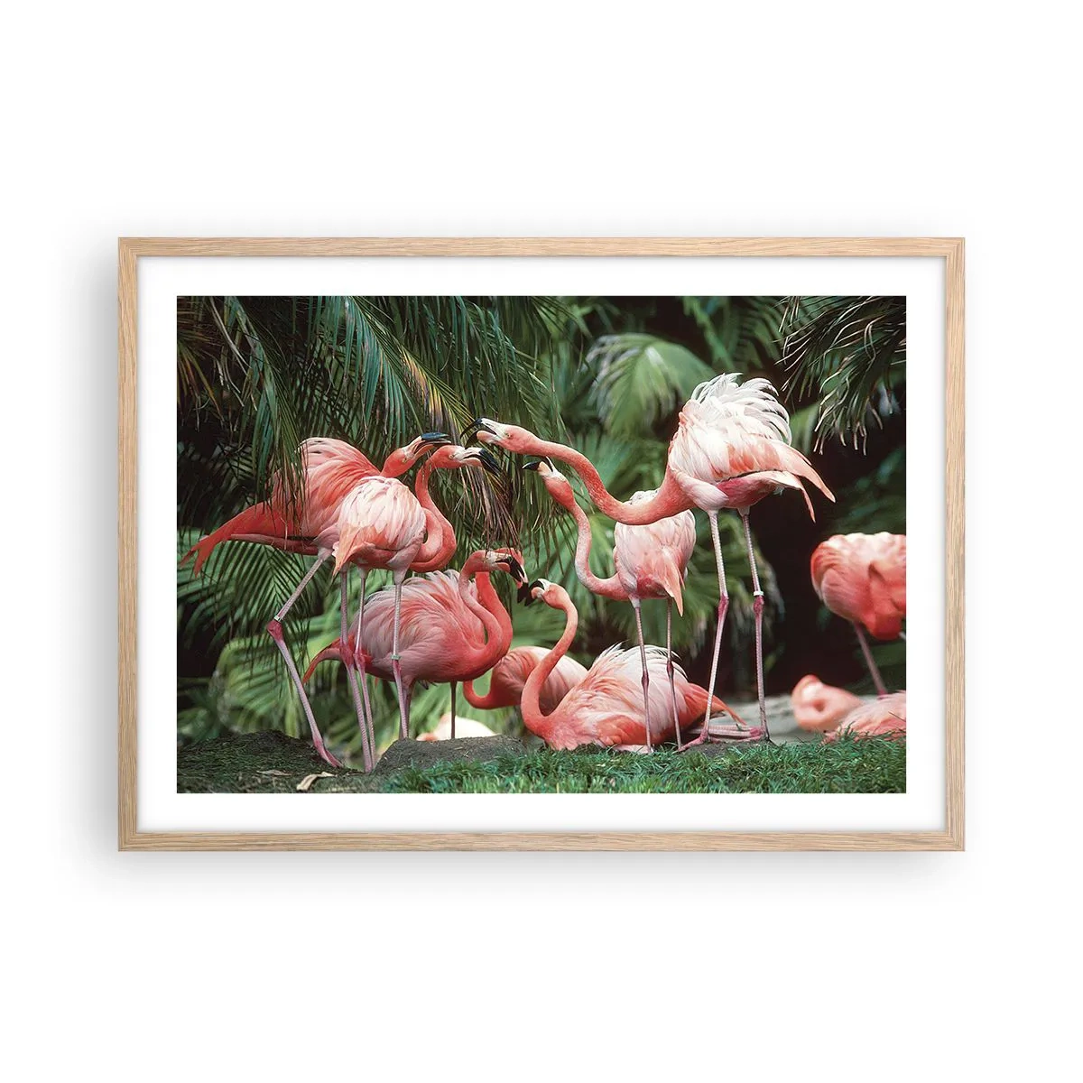 Een poster in een licht eiken lijst - Middag roddels - 70x50 cm