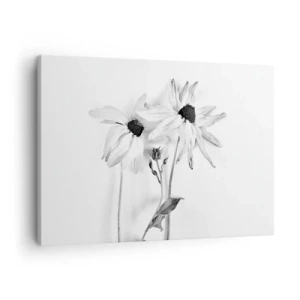 Schilderen op canvas - Zwart-witte bloemen met een subtiele compositie - 70x50cm - Niemand wil alleen zijn - Moderne wanddecoratie voor woonkamer en slaapkamer ARTTOR
