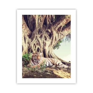 Poster - Uitzicht vanuit het boek Genesis - 40x50 cm